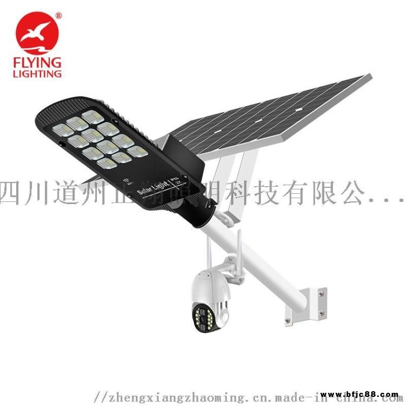太陽能路燈戶外庭院燈家用新農(nóng)村防水LED人體感應(yīng)燈