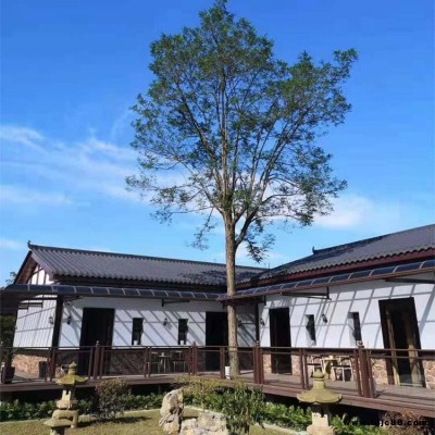 福州市中式別墅度假區(qū)裝飾仿古瓦承接經(jīng)典