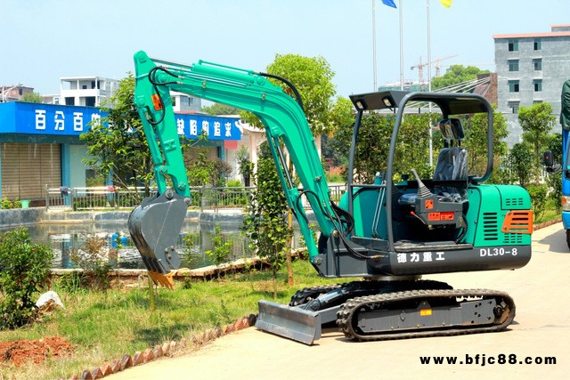 廣西德力重工DL30-9挖掘機,園林挖掘機，微型挖掘機，超小型迷你