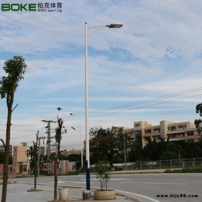 小區公路一拖一燈桿 熱鍍鋅管led燈燈桿 上海亞明燈具 款式高度可定制 柏克廠家直銷