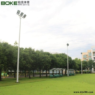 10米室外專業球場照明燈桿 一拖二公路照明燈桿 公園led燈燈桿 小區路燈燈桿 柏克廠家供應