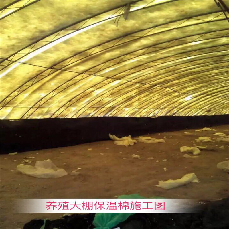 玻璃棉板 玻璃棉A級防火大棚保溫示例圖13
