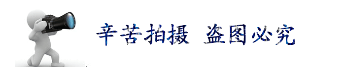 化工支吊架U型螺栓帶角鋼 A2-1帶角鋼U型螺栓 帶角鋼螺栓量大優惠示例圖11