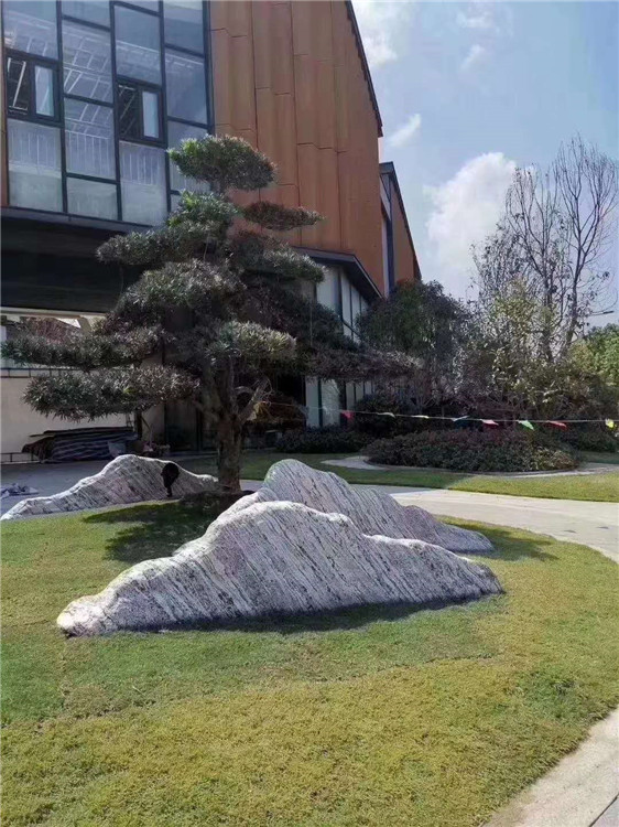 雕塑專業(yè)加工 院校單位門牌石 景區(qū)庭院景觀石