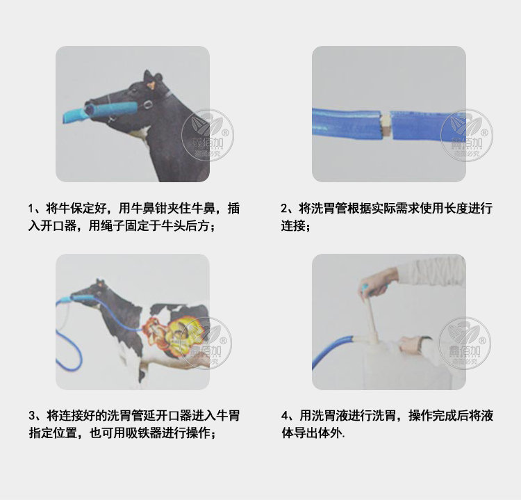 牛開口器B詳情頁 (6).jpg