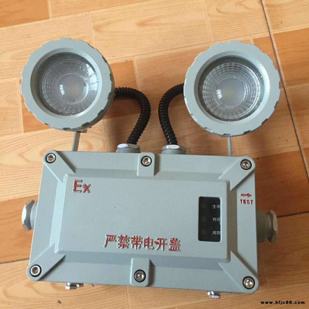 ZFZD防爆雙頭應(yīng)急燈 ZFZD消防專用防爆應(yīng)急燈