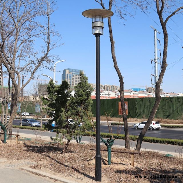 德州庭院燈 廠家直銷小區(qū)道路專用 3-5米LED多種燈頭可選 景觀庭院燈