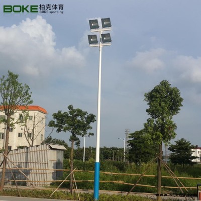 柏克廠家供應 BK-2019球場燈桿6米 led路燈桿 庭院燈燈桿 可批量定制生產