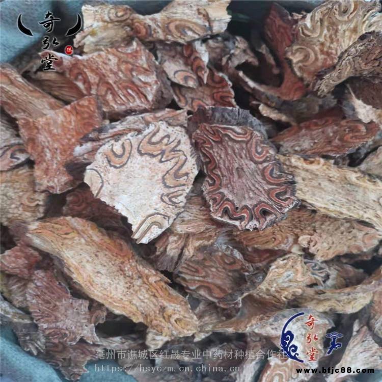 刺桫欏 龍骨風(fēng) 龍骨風(fēng)產(chǎn)地 支持定制 紅晟