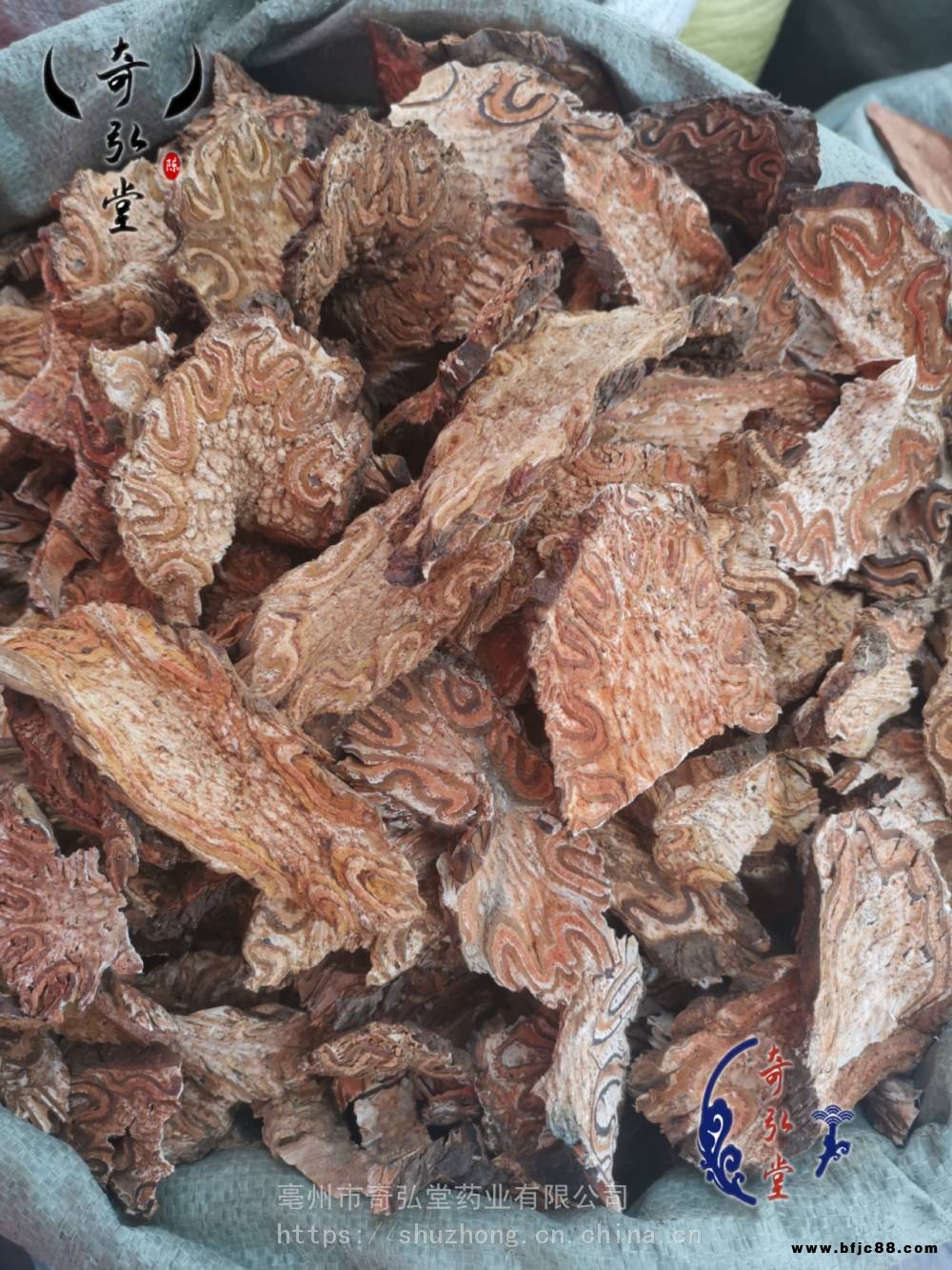 龍骨風(fēng)價(jià)格 中藥材龍骨風(fēng)市場(chǎng)報(bào)價(jià)