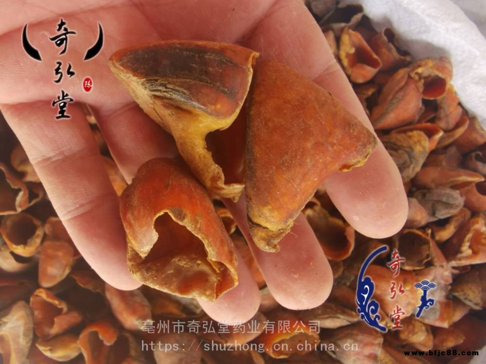 龍骨風(fēng)價(jià)格 龍骨風(fēng)泡酒的功效