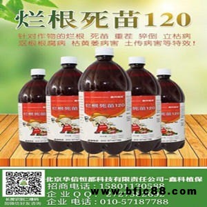 葡萄粒枯病  白掌的根爛了  蟹腳蘭爛根 龍骨爛根  龍須草爛根