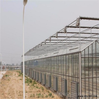 鋼管鍍鋅蔬菜大棚 鋼管冬曖大棚的建設(shè) 鋼管大棚建造 旭航團(tuán)隊(duì)8