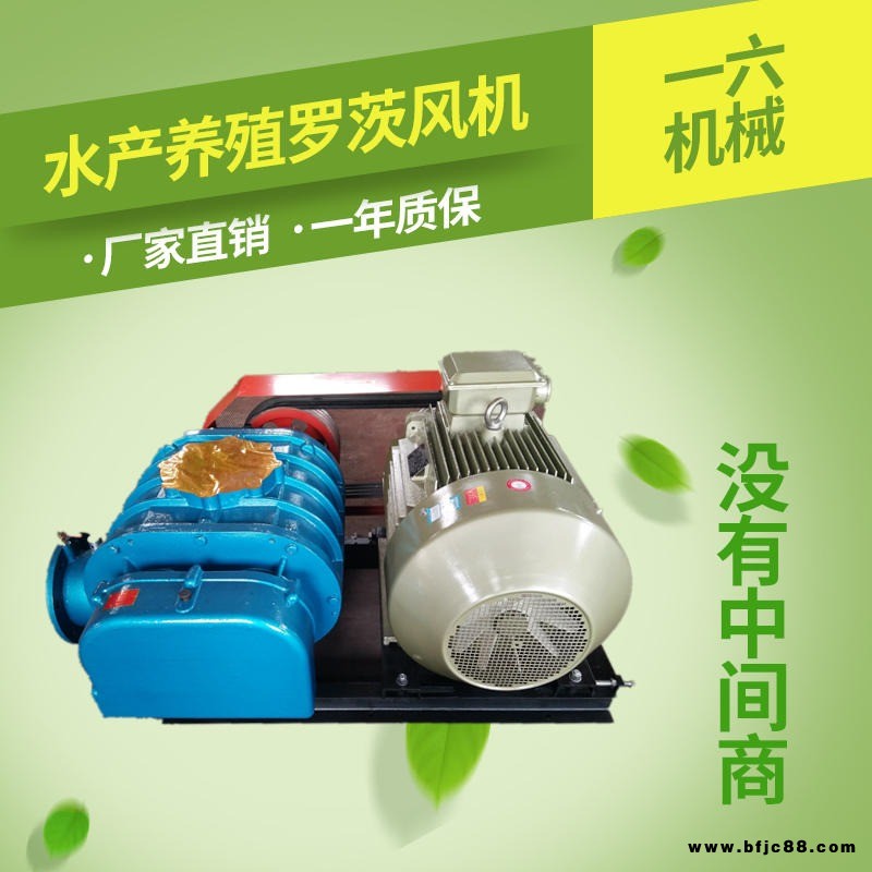 一六OSR125B特殊氣體羅茨鼓風(fēng)機(jī)    特殊氣體羅茨鼓風(fēng)機(jī)
