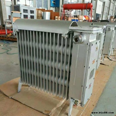 RB-2000/127(A)煤礦用防爆電熱取暖器   礦用BDR防爆電熱取暖器 礦用防爆電暖器  廠家直銷