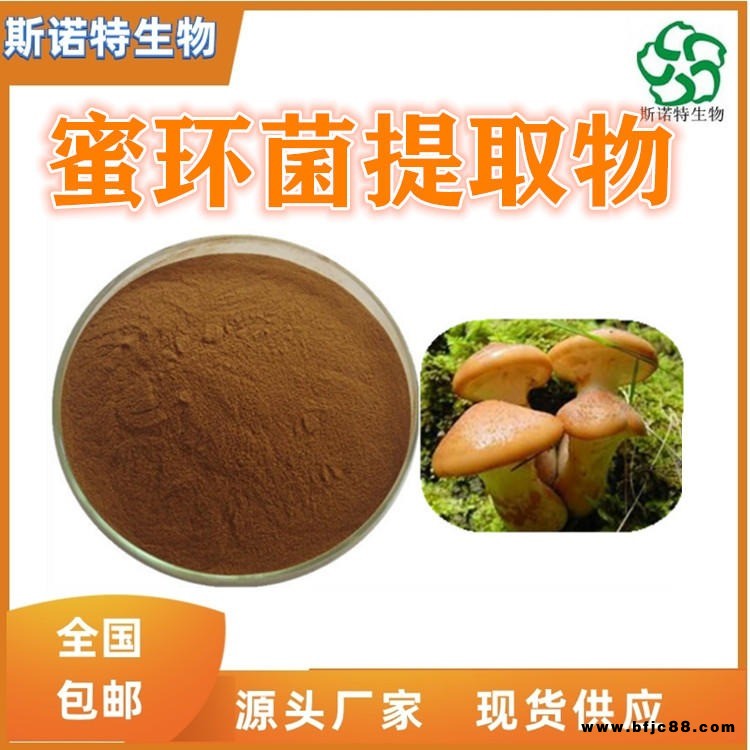 蜜環(huán)菌提取物 蜜環(huán)菌濃縮粉 蜜環(huán)菌萃取物 斯諾特廠家供應(yīng)