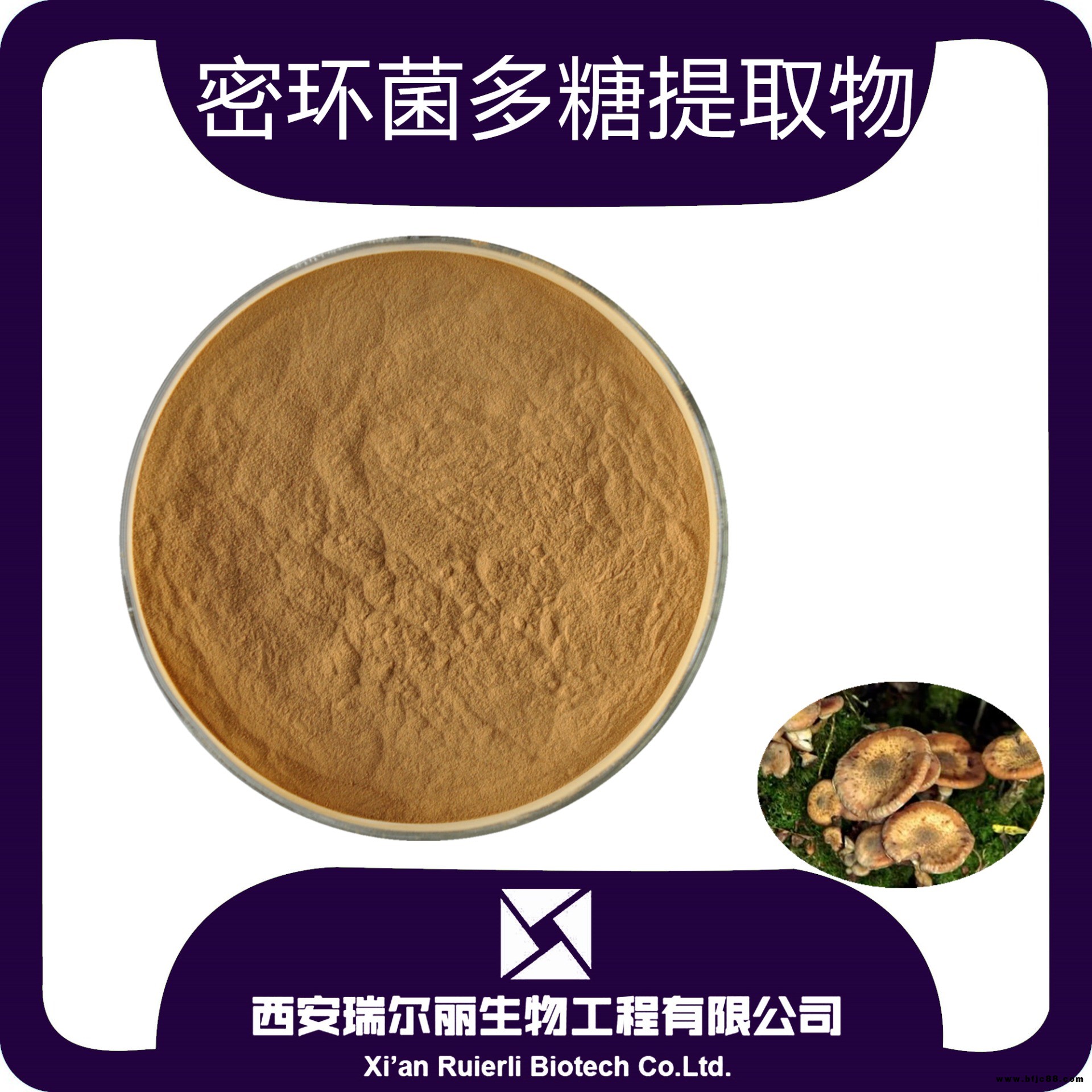 蜜環(huán)菌多糖 30% 蜜環(huán)菌提取物 蜜環(huán)菌提取液 蜜環(huán)菌浸膏
