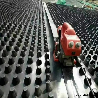 排水板綠化濾水加強蓄排水板HDPE黑色排水板地下室頂板塑料排水板德州潤澤廠家