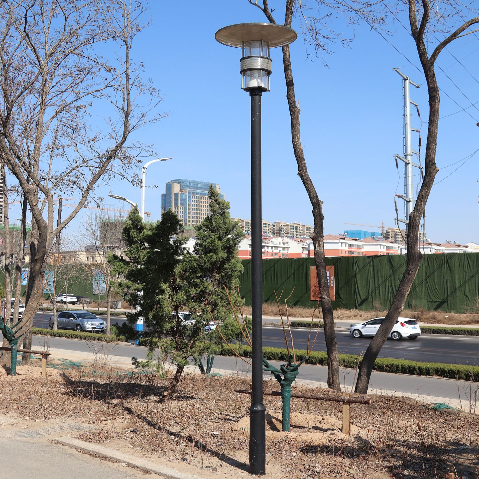 德州庭院燈廠家直銷小區道路專用3-5米LED多種燈頭可選景觀庭院燈示例圖3
