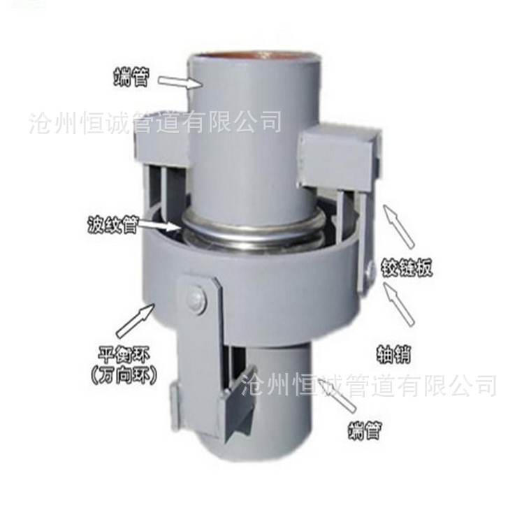 供應(yīng)WJY萬向鉸鏈波紋補償器鉸鏈不銹鋼補償器膨脹廠家直銷示例圖5