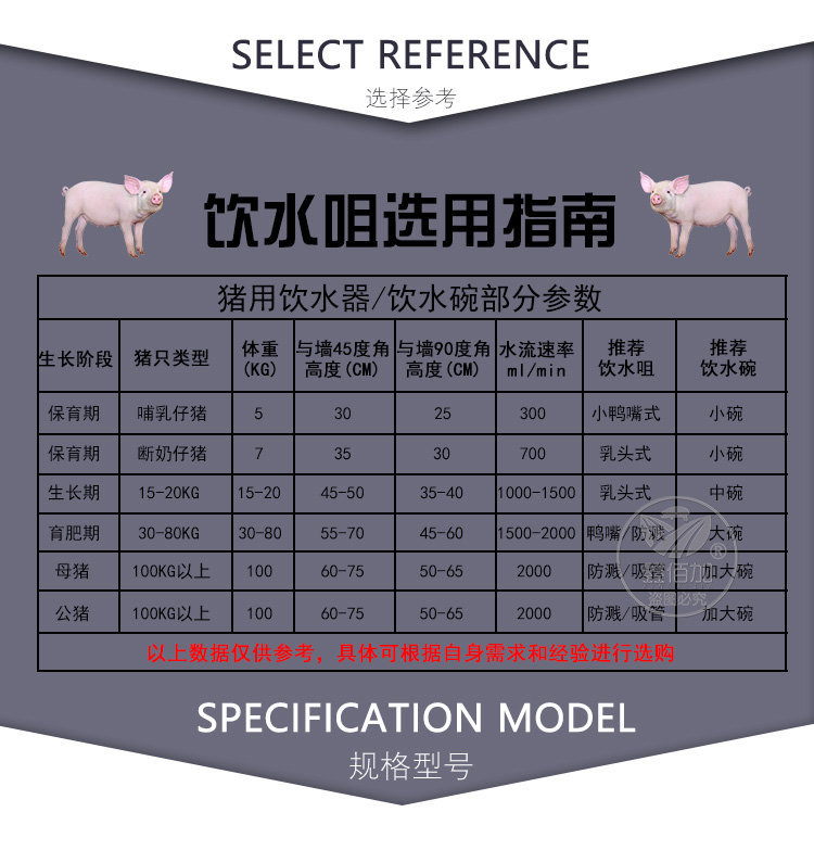 豬水嘴AA詳情頁 (3).jpg