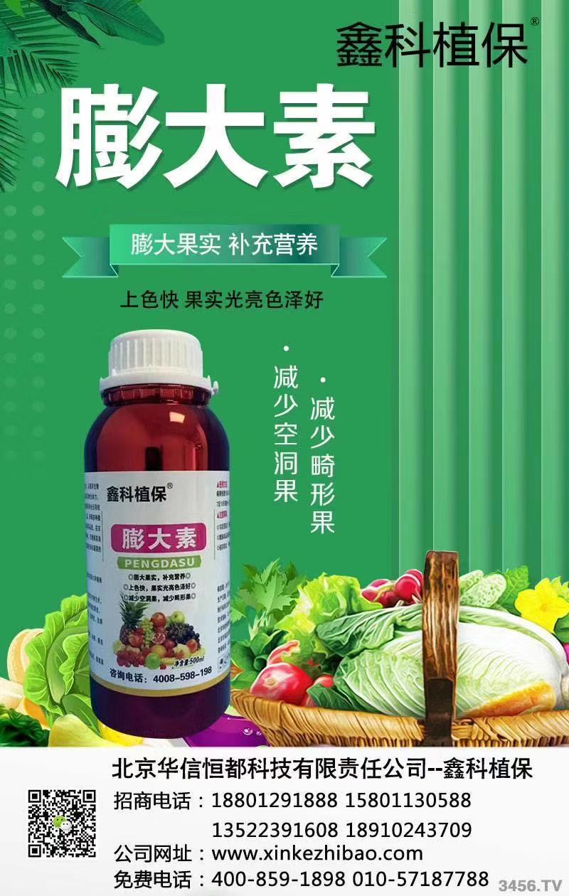 草莓的葉斑病咋治 草莓的疫病 草莓的早期病害防止 草莓的主要病害 草莓楴腐病 草莓地可用生石灰抗重茬嗎 草莓地爛根死苗預示例圖5