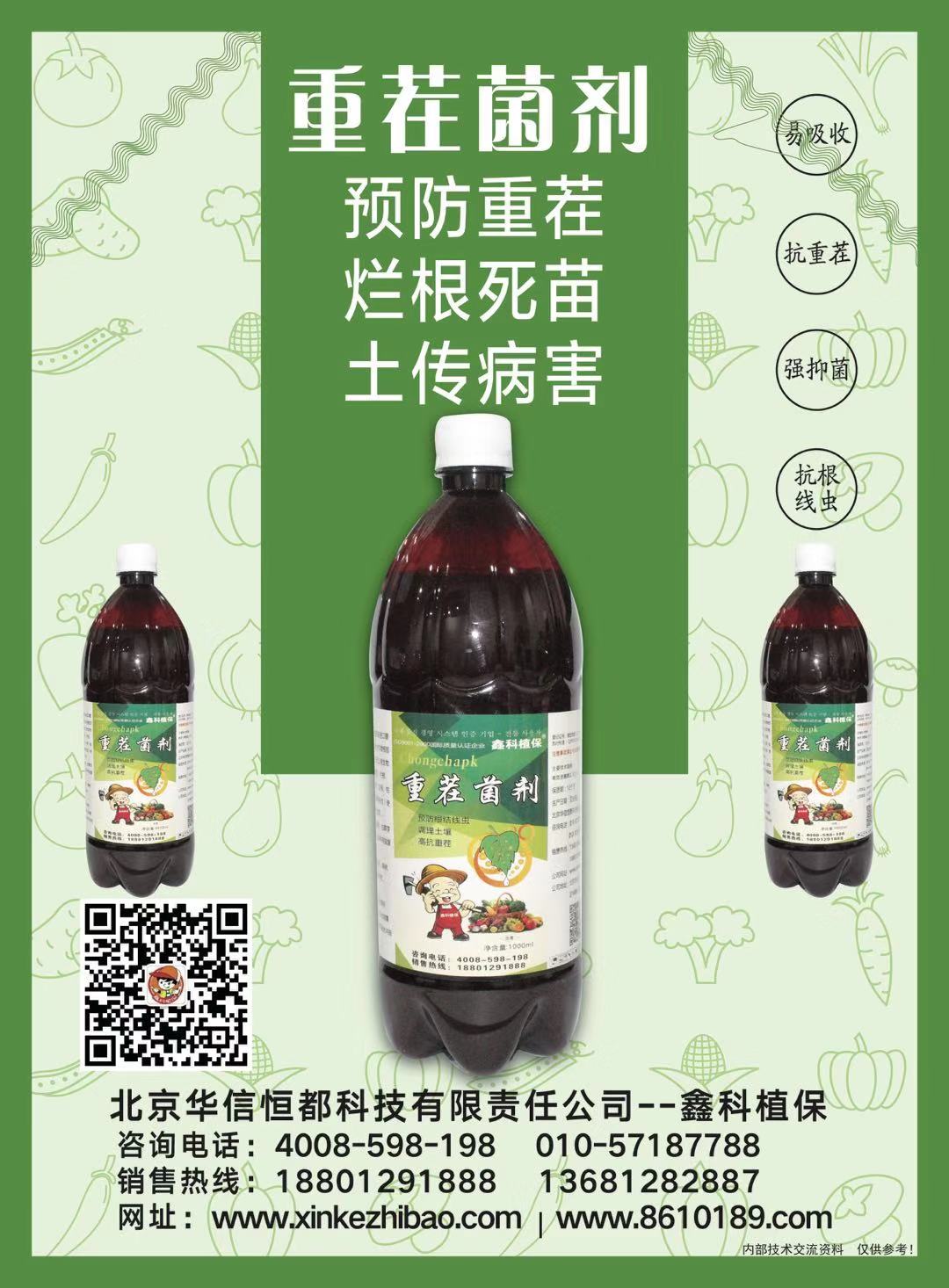 草莓的葉斑病咋治 草莓的疫病 草莓的早期病害防止 草莓的主要病害 草莓楴腐病 草莓地可用生石灰抗重茬嗎 草莓地爛根死苗預示例圖4