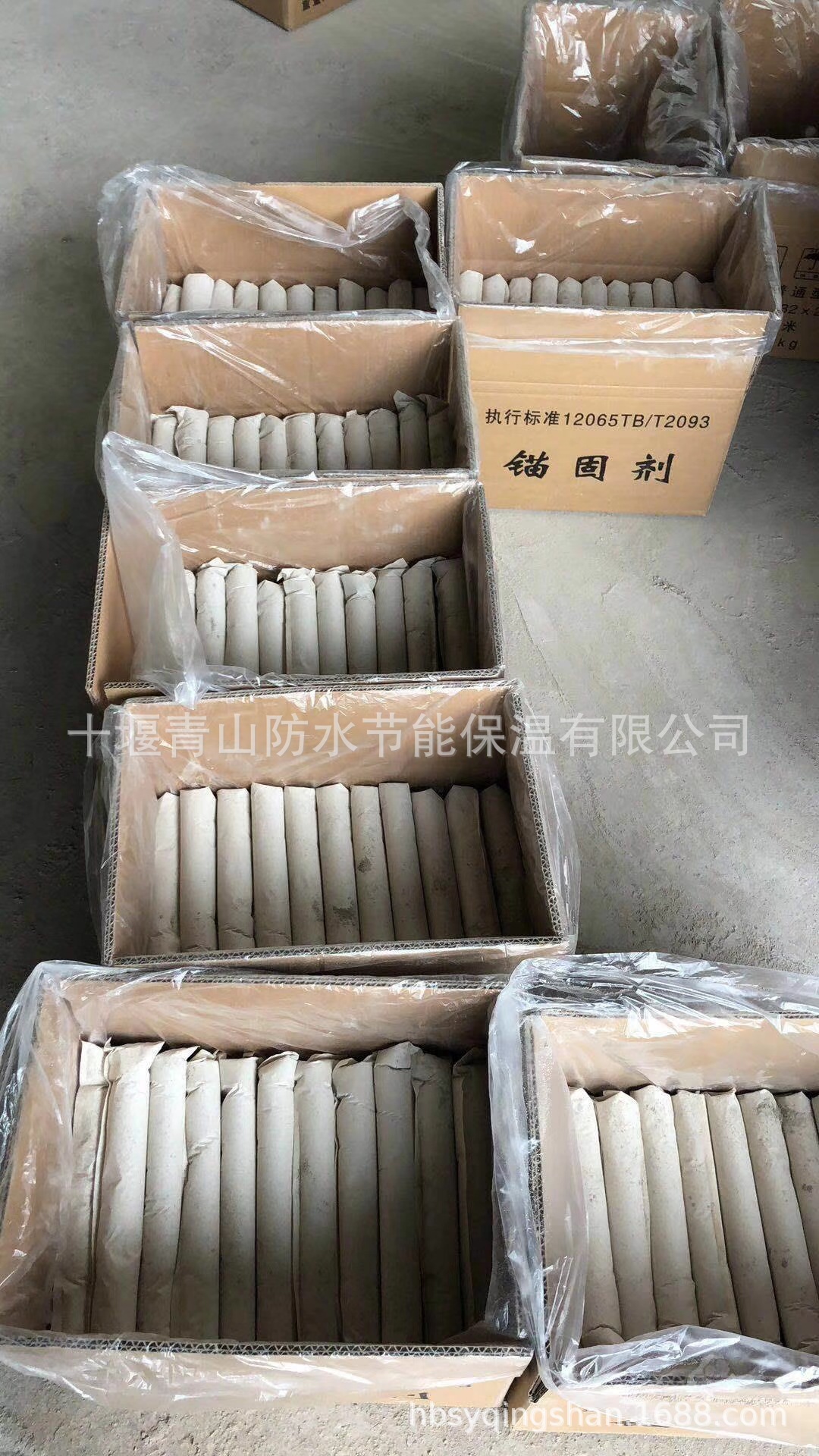 錨固劑