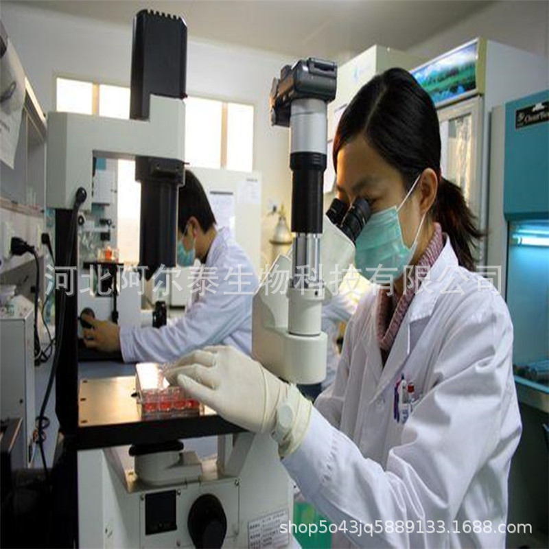 雙氫阿爾泰廠家直銷雙氫cas:123930-80-3示例圖3