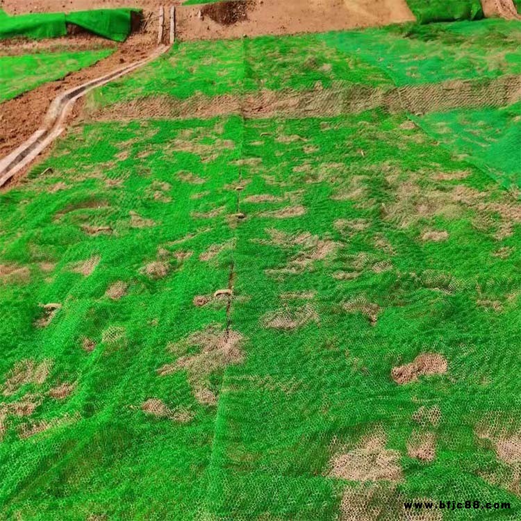 EM4三維植被網 加拉伸網加格柵拉力大 全新料質量好土工網墊