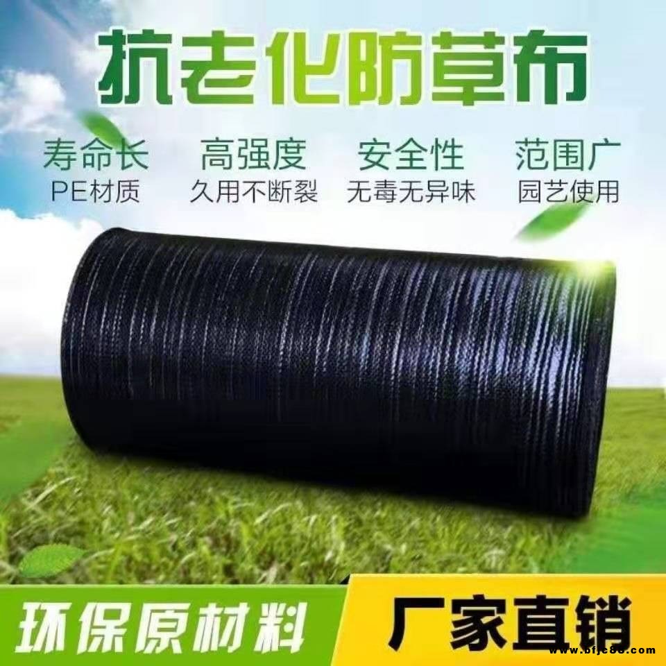 廠家直銷園藝地布 園林防草布 園藝防草布 防草地布 除草布花卉防草專用布