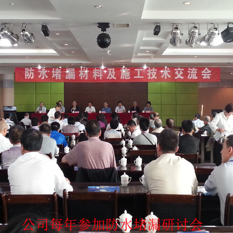 環(huán)保型高分子防水卷材   丙綸復(fù)合防水卷材 隧道防水卷材示例圖16