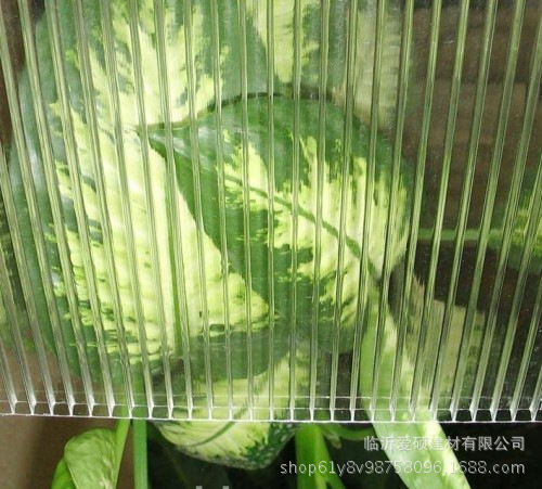 PC陽光板 農業溫室大棚采光保溫板 聚碳酸酯板 濰坊批發商價格示例圖8